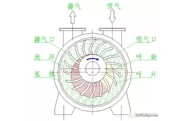 一码中精准一码免费