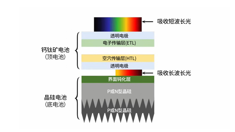 一码中精准一码免费